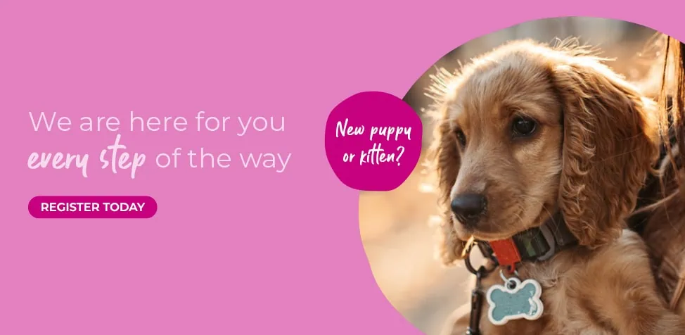 Norwood Vets in Beverley and Kingswood in East Yorkshire