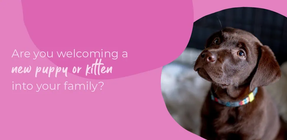 Start of Life for Your Puppy or Kitten