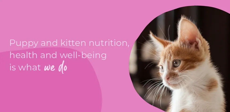 Start of Life for Your Puppy or Kitten