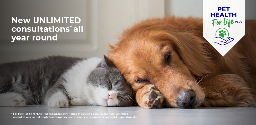 Cat and Dog Pet Health for Life Plans