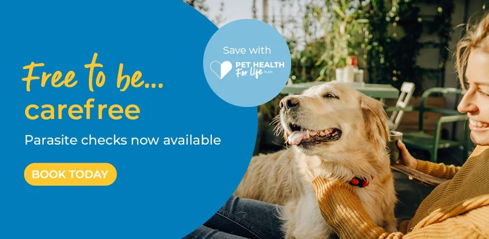 Norwood Vets in Beverley and Kingswood in East Yorkshire