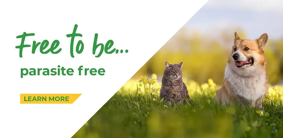 Norwood Vets in Beverley and Kingswood in East Yorkshire