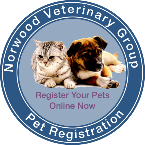 Register your pet with Norwood Vets Beverley