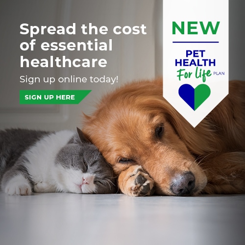 Pet Health for Life plans at Norwood Vets